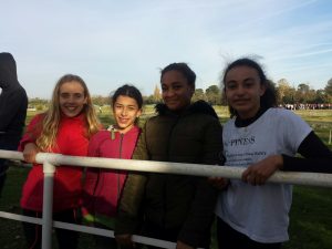 20161116_151755_resized